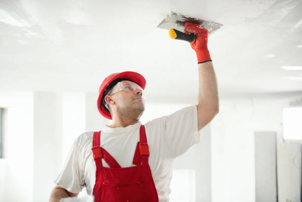 Best Mold Prevention Services  in Redwood, OR
